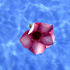 Pool Flower